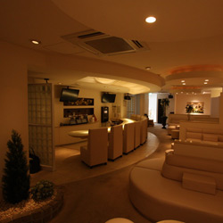 昭和町 ラ・グランダム リニューアル工事(内装)