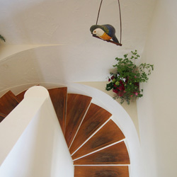 入船町 コンフォート 新装工事(内装)