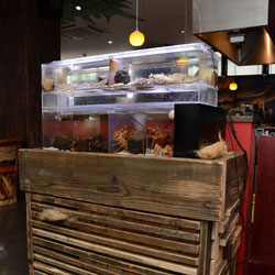 笠岡町 肉料理 ズシオ 新装工事（水槽台）