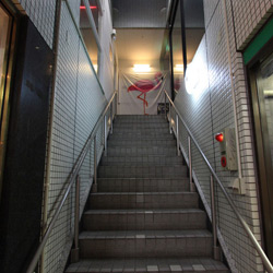 元町　フラミンゴ新装工事（外観）